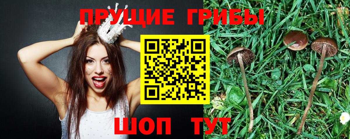 Галлюциногенные грибы Cubensis  Вход с VPN  Торжок 